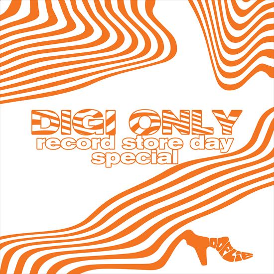 Unknown Artist - DIGI ONLY  Record Store Day Special - 2024 - cover.png