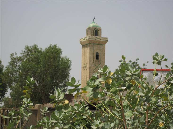 Architektura - Mosque in Chad.jpg