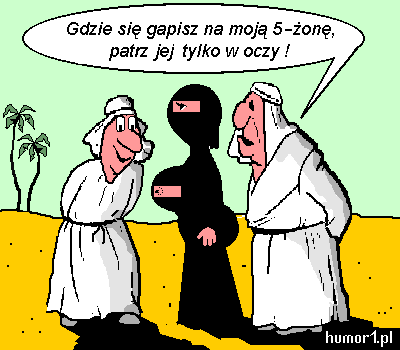 Humor 18 - arab humor.gif