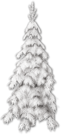 zimowe dodatki - christmastree1.png