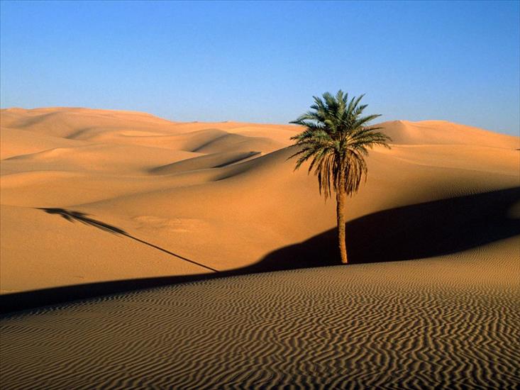 Deserts - Deserts 13.jpg