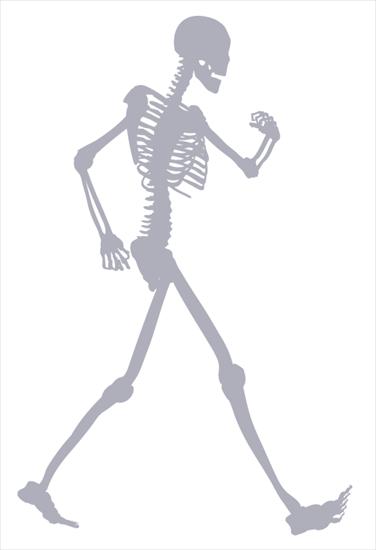 Szablony malarskie - szkielet.gif