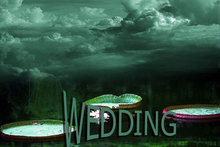 Tła ślub - wedding02 9.jpg