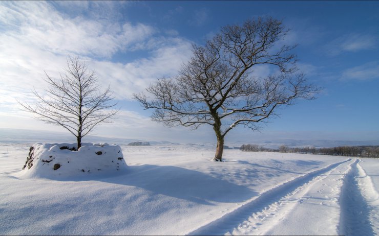 Beautiful Nature - Winter Nature - Part 01 - Beautiful Nature - Winter Nature - Part 01 139.jpg