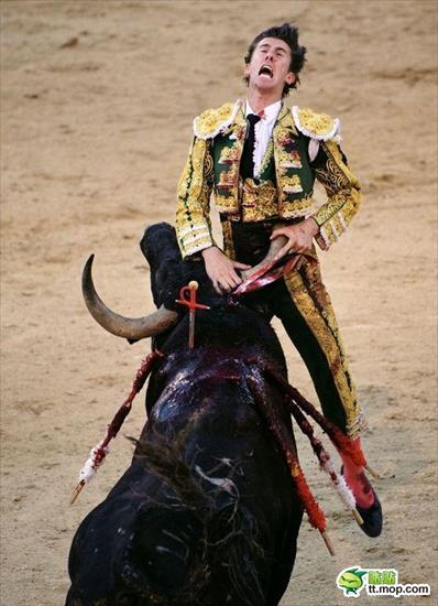 Pogromcy byków - spain-spanish-bullfighting-matadors-19.jpg