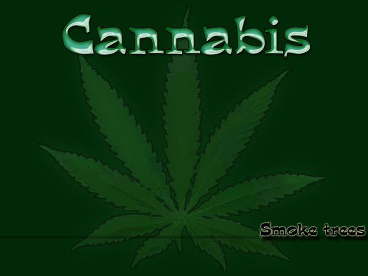 Ganja - Cannabis.jpg