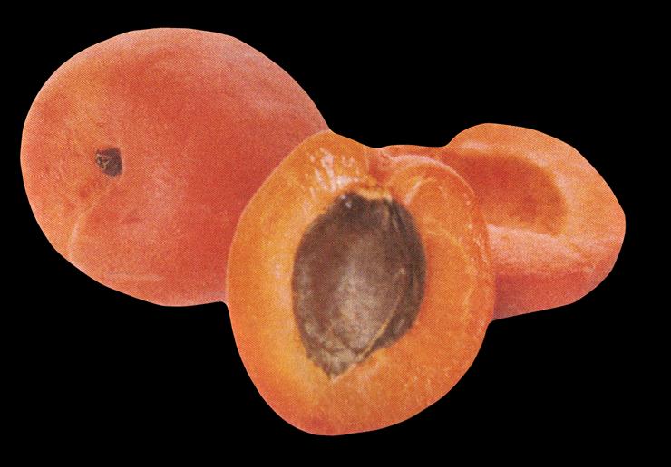 Fruits  Vegetables - apricot-01.png