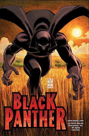 Black Panther v4 2005-2008 - Black Panther 001 2005 Digital Shadowcat-Empire.jpg