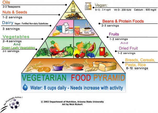 Dietka - vege food pyramid.jpg