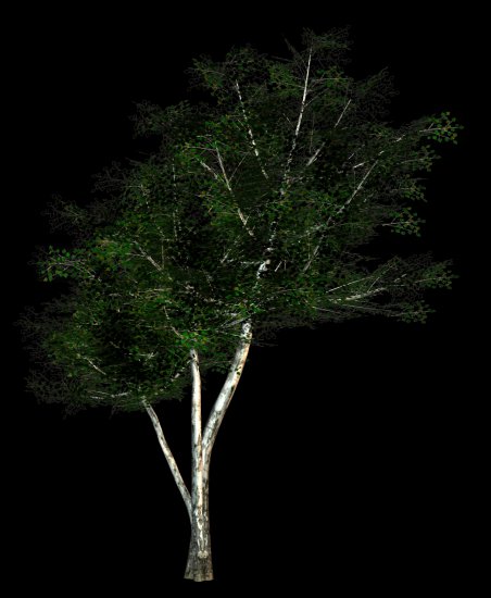 PNG-DRZEWA LIŚCIASTE - R11 - Nature Time 1 - Tree - 139.png