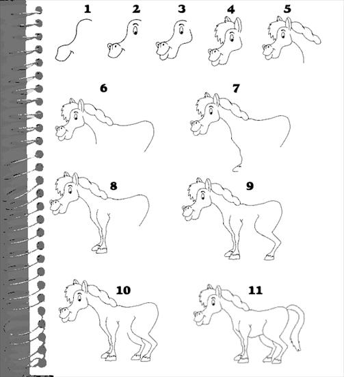 Kurs rysowania zwierząt - kurs rysowania - koń3.gif