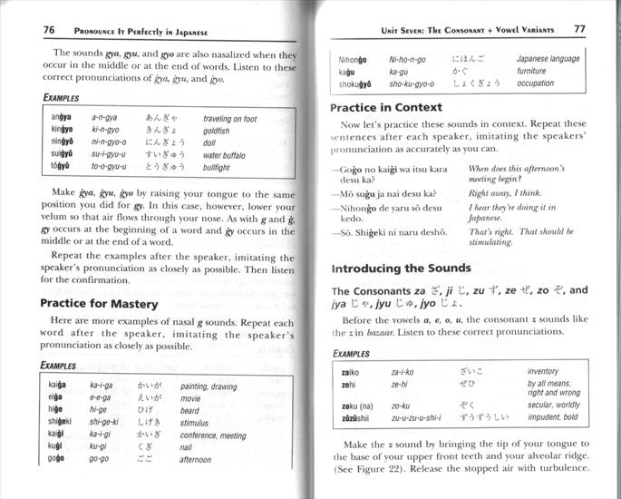 Book - PIP_Japanese_doc19.gif