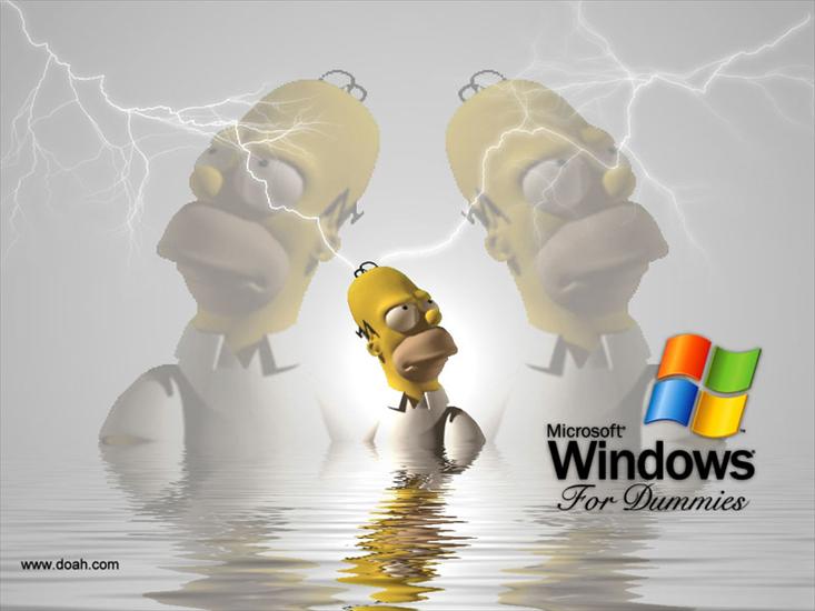 XP-Vista - Windows_XP_99.jpg