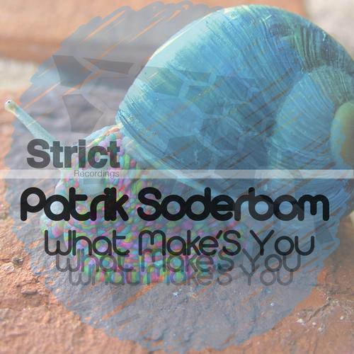 Patrik_Soderbom-What_Makes_you-STR030-WEB-2012-MW3 - 00-patrik_soderbom_-_what_makes_you_original_mix-mw3.jpg