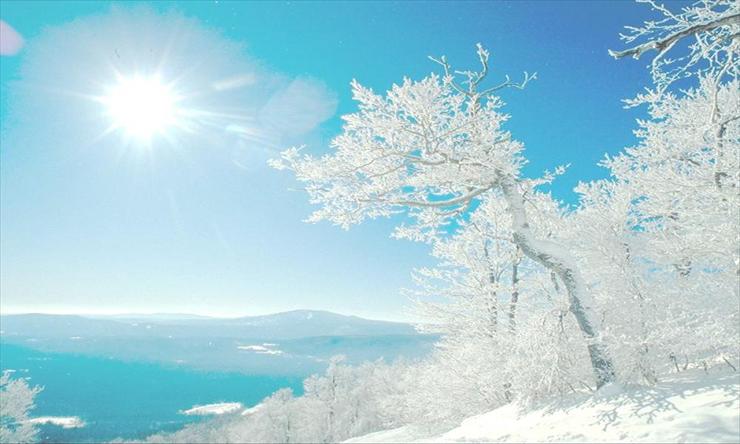 Pejzaż zimowy - Winter-trees-looks-pretty.jpg