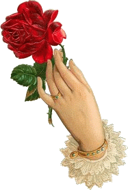 G I F Y janek19511 - kwiat róży w ręku.gif