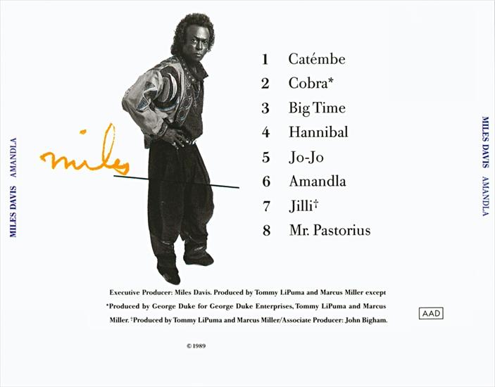 Amandla 1989 - FLAC - miles_davis_amandla_cd-back.jpg