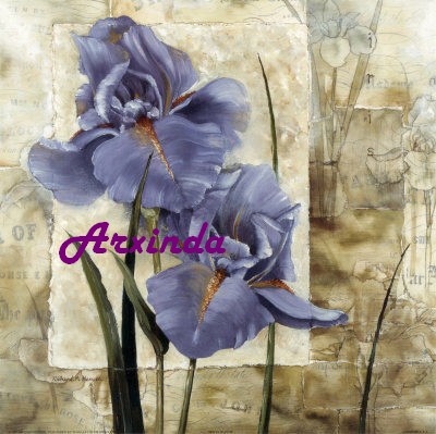 Arxinda - Iris azul.jpg