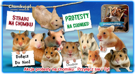 Filmy i takie tam - protest baner _czerw kr.png