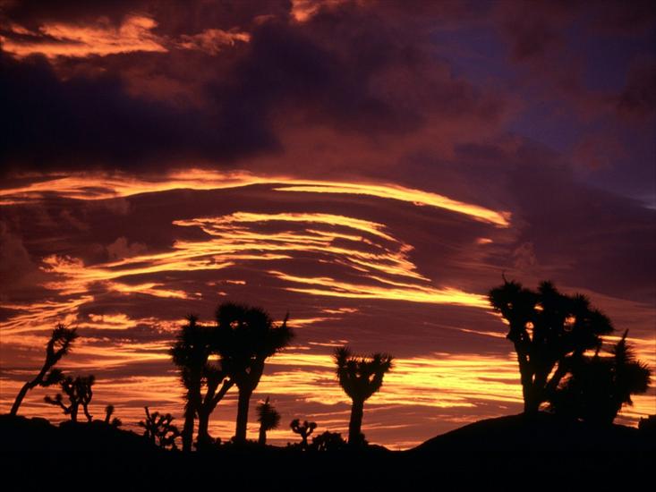 tapety -  NIEBO I CHMURY - sunset_joshua_tree_national_park_california-1280x960.jpg