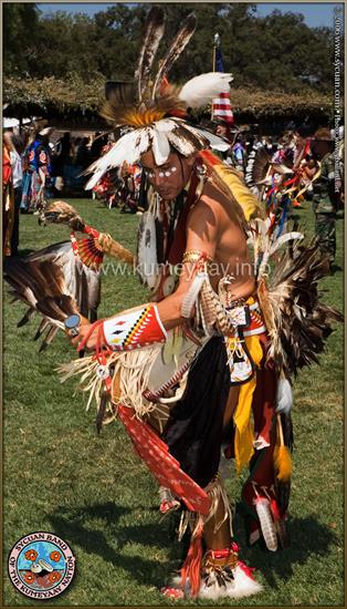 indianie_dziś - PROFESSIONAL DANCER Eagle Feathers Regalia.jpg